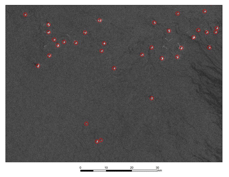 Figure 1. SAR image taken near Greenland, with targets circled.