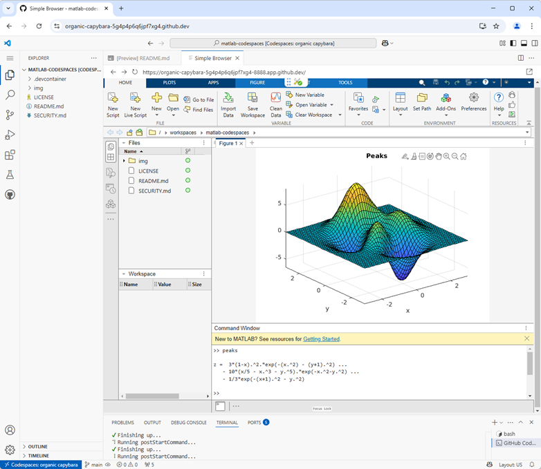 MATLAB running in Visual Studio Code in a Codespace
