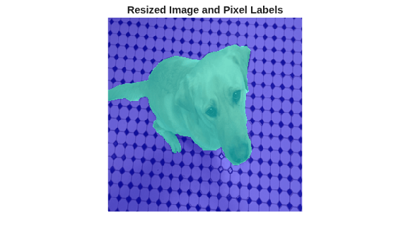 Figure contains an axes object. The hidden axes object with title Resized Image and Pixel Labels contains an object of type image.