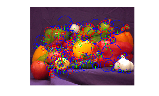 The photograph of peppers and garlic with circles around the extracted interest points.