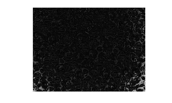 Figure contains an axes object. The hidden axes object contains an object of type image.