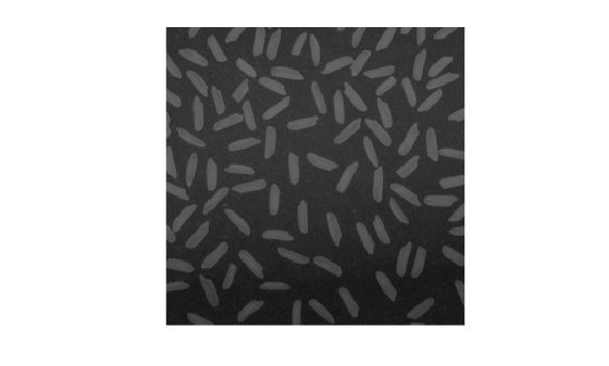 Figure contains an axes object. The hidden axes object contains an object of type image.