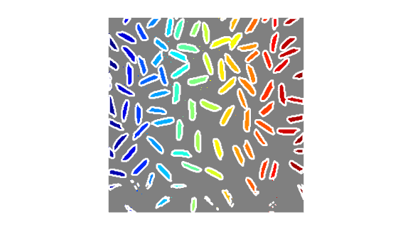 Figure contains an axes object. The hidden axes object contains 152 objects of type image, line.