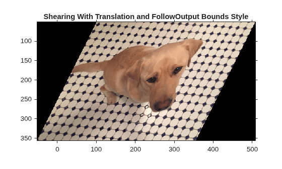 Figure contains an axes object. The axes object with title Shearing With Translation and FollowOutput Bounds Style contains an object of type image.