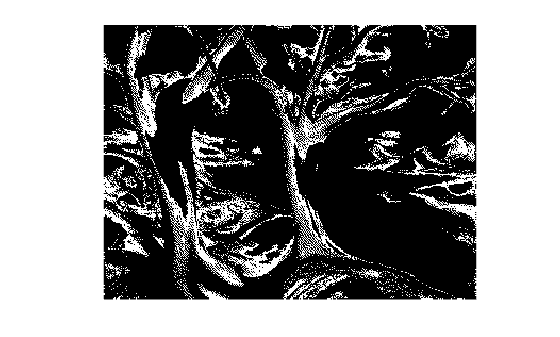Figure contains an axes object. The hidden axes object contains an object of type image.