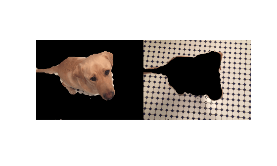 Texture Segmentation Using Gabor Filters