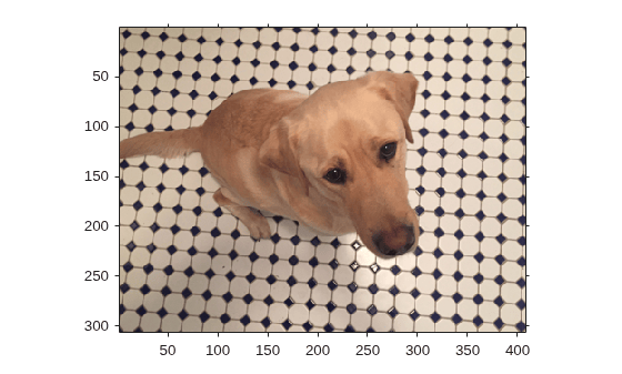 Figure contains an axes object. The axes object contains an object of type image.