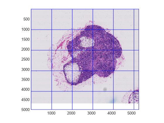 Figure contains an axes object. The axes object contains an object of type bigimageshow.