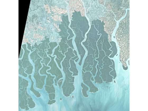 Classify Mangroves Using Sentinel-2 Multispectral Images