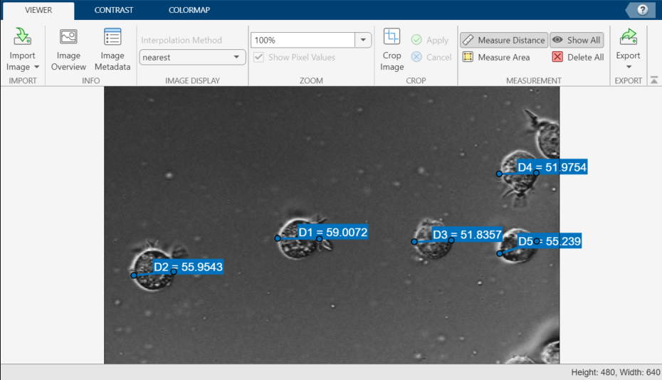 Image Viewer app window showing distance measurements for the diameter of five cells