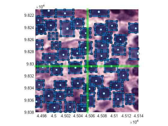 Detect Nuclei in Large Whole Slide Images Using Cellpose