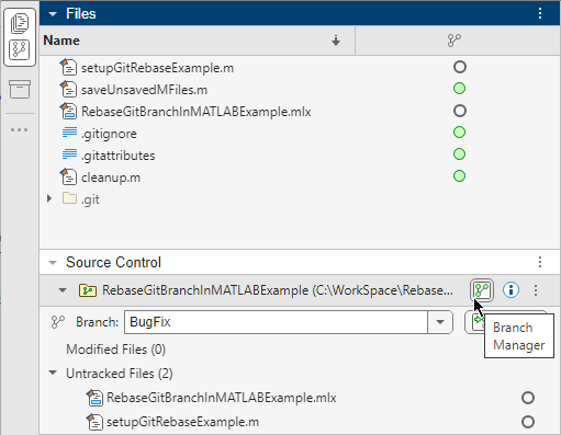 The Files and Source Control panels are grouped together.The mouse cursor points to the Branch Manager button in the Source Control panel.