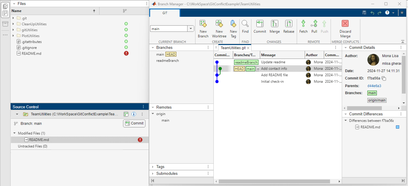 Source Control and Files panel stacked on the left and the Branch Manager on the right