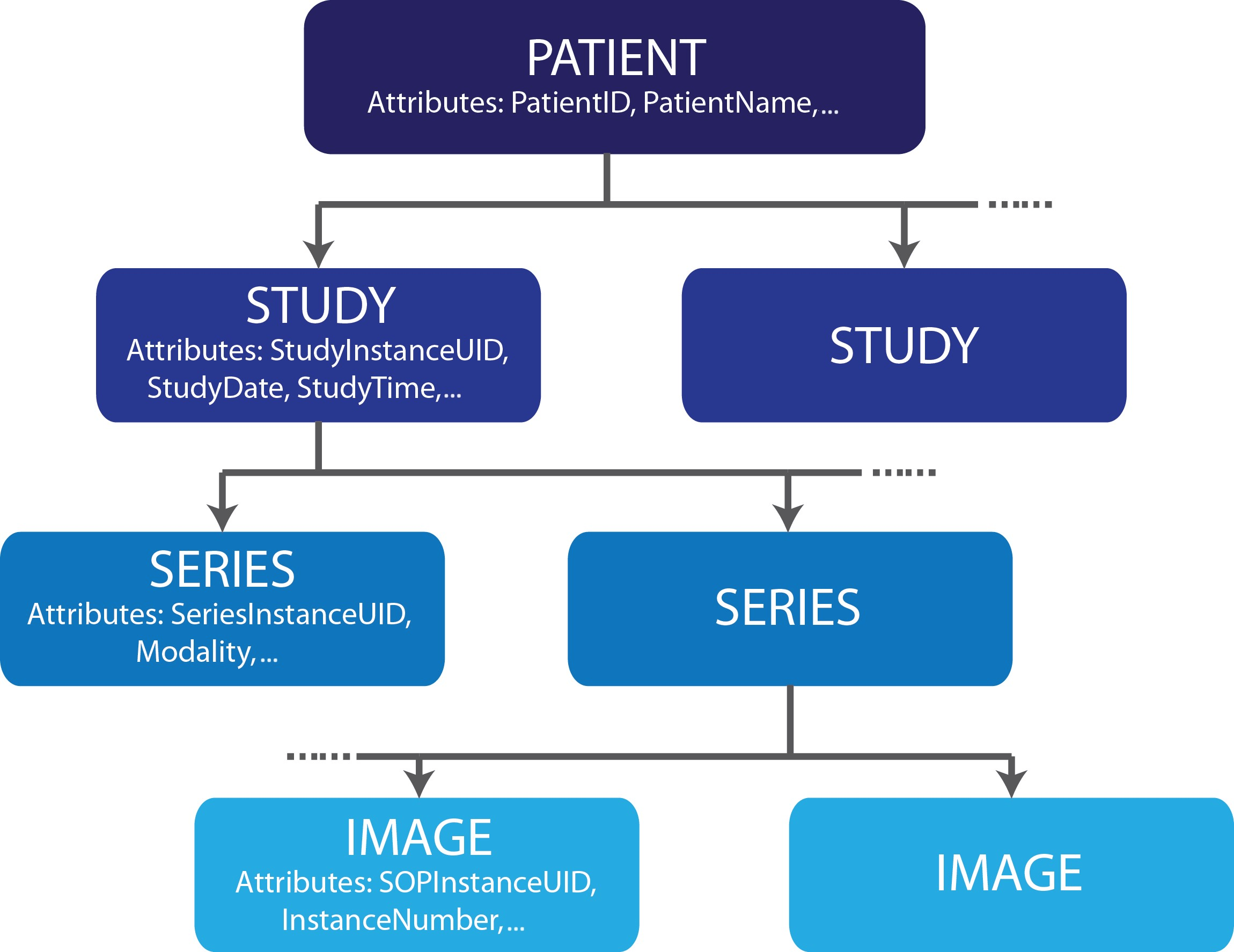 DICOM Query-Retrieve Model