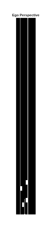 Figure Occupancy Grid contains an axes object. The hidden axes object with title Ego Perspective contains an object of type image.
