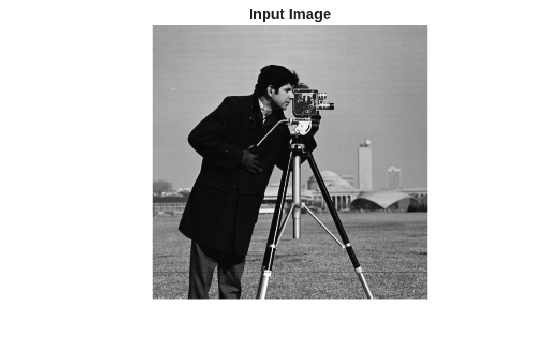 Figure contains an axes object. The hidden axes object with title Input Image contains an object of type image.