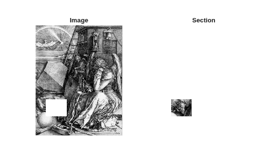Figure contains 2 axes objects. Hidden axes object 1 with title Image contains an object of type image. Hidden axes object 2 with title Section contains an object of type image.