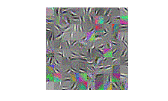 Figure contains an axes object. The hidden axes object contains an object of type image.