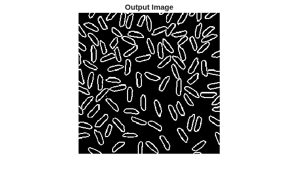 Figure contains an axes object. The hidden axes object with title Output Image contains an object of type image.