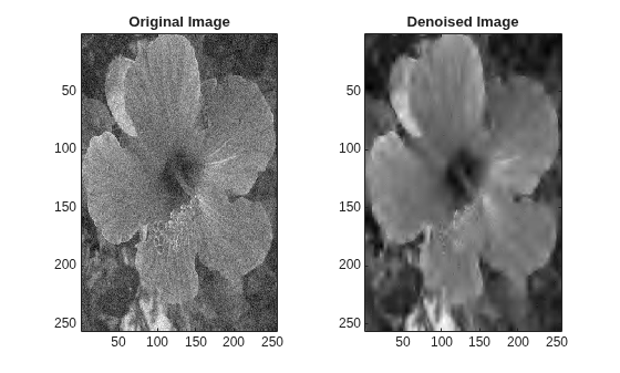 Figure contains 2 axes objects. Axes object 1 with title Original Image contains an object of type image. Axes object 2 with title Denoised Image contains an object of type image.