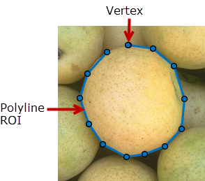 Blue Polyline ROI with 12 line segments drawn over an object in an image.