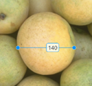 Blue Line ROI drawn over the widest part of an object in an image