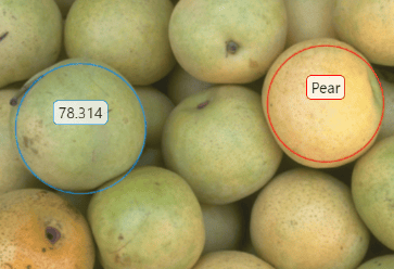 Blue and red circle ROIs on an image of pears, showing a measurement label and a text label