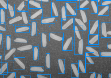 Blue rectangle ROIs overlaid on rice grains in a grayscale image