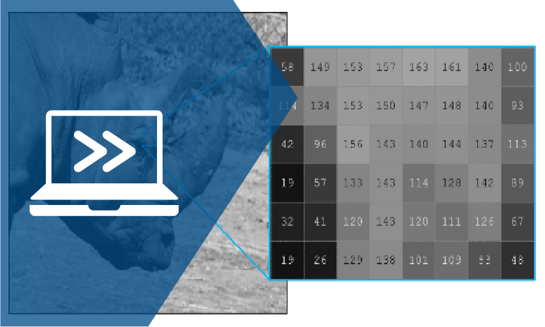 Matrix Methods of Linear Algebra courseware module