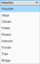 Drop-down list containing nine last names