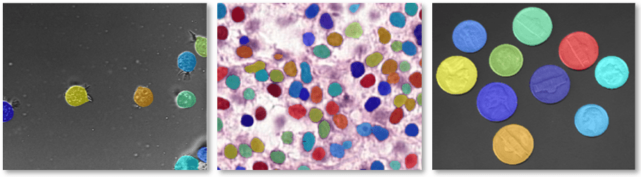 Cellpose labels predicted for different microscopy images and a non-microscopy image of coins