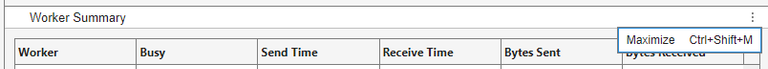 Worker Summary table title and head row shows the Maximize option on the right.