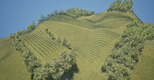 Perspective view of the vineyard scene.