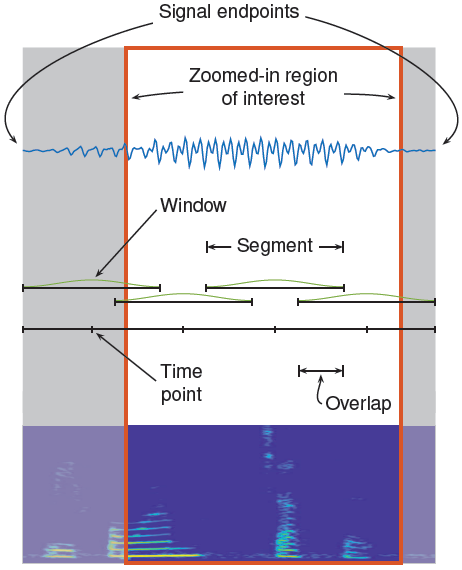 Illustration of the zoomed-in region of interest of a signal, showing a window, an overlap, signal segments, time points, and a signal spectrogram.