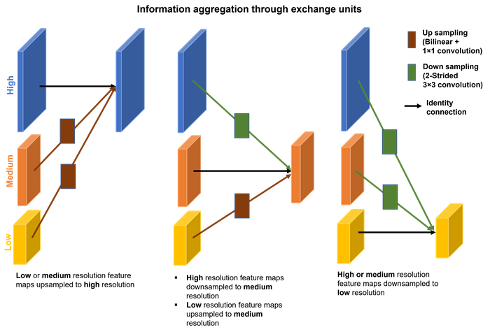 Exchange units aggregating multi resolution information in each stage of HRNet