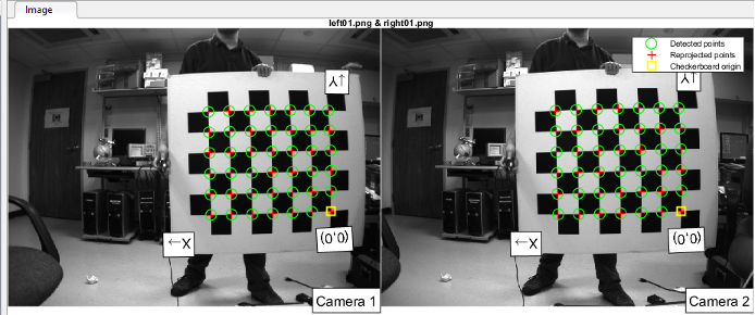 Rectified stereo image pair.